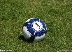 中沙对决倒,计时,小时,完美体育,完美体育app,完美体育官网,完美体育下载,完美体育入口