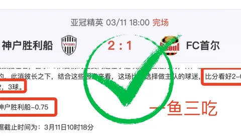 刘建业分析：球队多打1人战术总结，4万助威全场